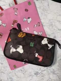 【CoachXPeanuts】コラボ スヌーピー ノリータ19