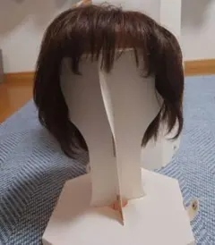 2026年最新】ジュリア オージェ ウィッグの人気アイテム - メルカリ