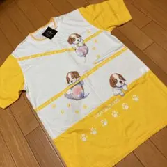 Item thumbnail for item 27ff7cf3-ca8b-4b43-b5a7-4866df298b8a