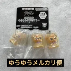 SKZOO めじるしアクセサリー パピーム スンミン ３点セット