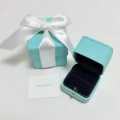 極美品 現行品 ティファニー 限定品 リングケース 空箱 Forever 刻印