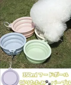 350ml 携帯用 折りたたみ パープル　フードボウル カラビナ付 フードボールのサムネイル