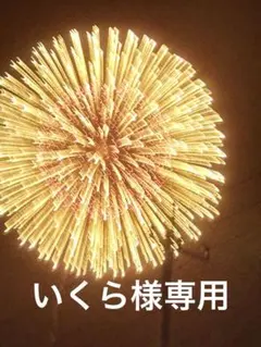 いくら様専用
