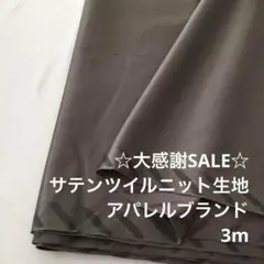 D2X/5862-02◆3m 感謝祭/ポリレーヨン混サテンツイルニット生地