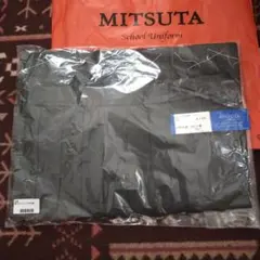 Item thumbnail for item 3ad9ed3d-8aa3-4e3c-943c-de9f9d67ecfc