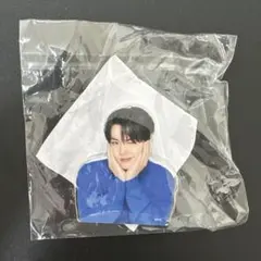 treasure カプセルトイ　アクリルクリップ　ドヨン