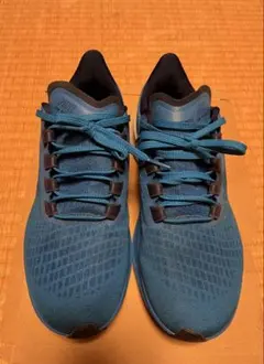 NIKE ZOOM PEGASUS 37 ランニングシューズ ブルー
