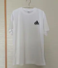 Nekodesu 猫柄 Tシャツ ホワイト 速乾性