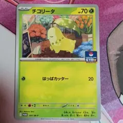 2026年最新】チコリータ プロモの人気アイテム - メルカリ