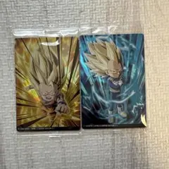 イタジャガ　ドラゴンボール　Vol.6