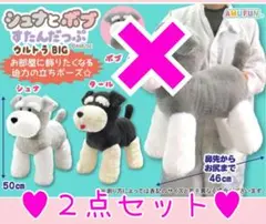 新作♥非売品レア♥シュナとボブすたんだっぷウルトラBIGぬいぐるみ♥シュナウザー