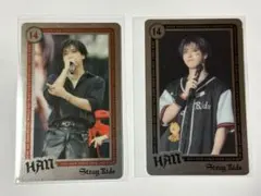 StrayKids ライブフォトカード ハン