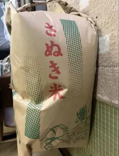 若草もち もち米 10kg 大分県産 農家直送 精米 若草もち もち米 10kg 大分県産 農家直送 精米 - メルカリ