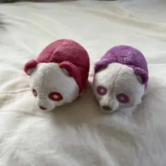 AAA え〜パンダ ぬいぐるみ 西島隆弘 宇野実彩子