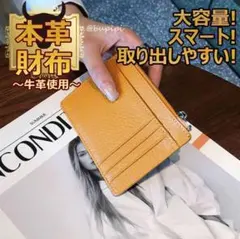 在庫限り 本革 ミニ財布 牛革 カードケース コインケース 小銭入れ 人気 春