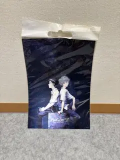 ヱヴァンゲリヲン新劇場版:Q 3Dポスター 碇シンジ 渚カヲル