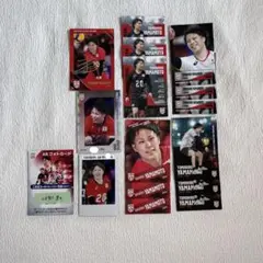 【男子バレー日本代表】山本智大選手　トレーディングカード2025