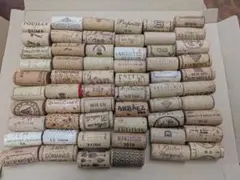 Item thumbnail for item b453c7a8-8cd9-4cf2-aa51-a0f76019a169