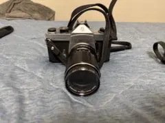 Item thumbnail for item 1c4b1d2a-1b54-44e5-bd27-c9250c8c7614