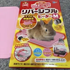 Item thumbnail for item 3aaa4eeb-fbb0-48a4-87a4-b2c5459f4711