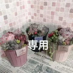 そのまま飾れる多肉植物の寄せ植え*アンティーク風ブリキポット3色セット