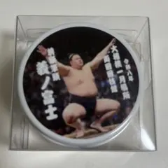 Item thumbnail for item faf8b735-eb68-4f20-acff-ce118b133faf