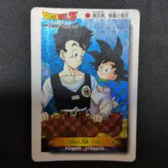 ドラゴンボールZ PPカード アマダ 379 修行の仕上げ - メルカリ