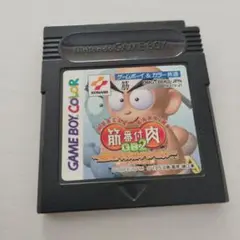筋肉番付GB2 ゲームボーイカラー専用