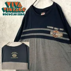 レア【古着】ハーレーダビッドソン 両面刺繍Tシャツ グレー 3XL