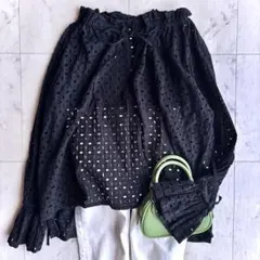 美品 シーナリー 長袖 カットワークレース ブラウス フリー アイレット刺繍 黒のサムネイル