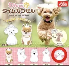 わんこのタイムカプセル カプセルトイ