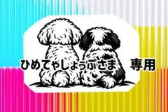 ひめてゃしょっぷさま専用出品です