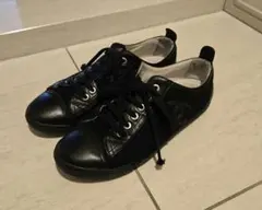 Item thumbnail for item 2b437e19-a147-4cef-809d-244d9be27a78