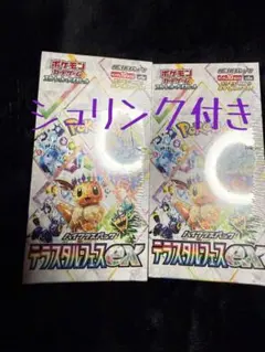 2025年最新】テラスタルフェスEXの人気アイテム - メルカリ