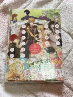 ある日、お姫様になってしまった件について 10