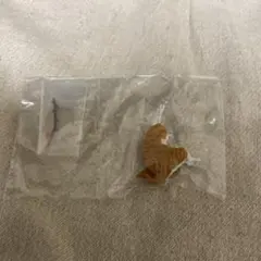 釣り日和　スコティッシュフォールド　猫たちのひまつぶし