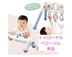 トイローヤル へんしんジム プレイジム 知育玩具 ベビージムのサムネイル