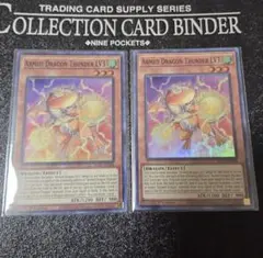 遊戯王 雷獣龍サンダードラゴン1st Edition EU版 英語版 プリシク 