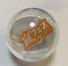 嵐　ライブロゴマグネット　アラフェス