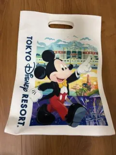 東京ディズニーリゾート ミッキー ミニー バッグ