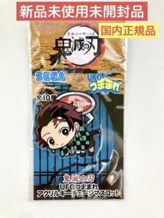 鬼滅の刃　アクリル　キーホルダー　アクキー　マスコット　UFO つままれ　炭治郎