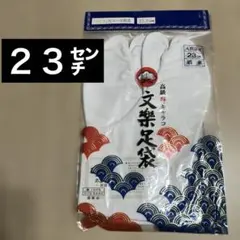 Item thumbnail for item 973458c5-a5e9-4b4a-8596-8c0d1e302b3e