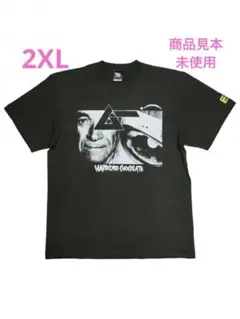 浜崎あゆみ FAMOUS コラボグッズ Tシャツ SCAPEGOAT - メルカリ
