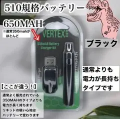 サトシ様 リクエスト 2点 まとめ商品