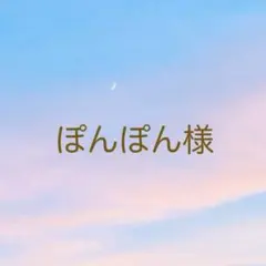 天然石 ☆訳あり チャーム