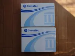 Item thumbnail for item 48a2297b-9b8f-46a4-902f-8e3602740a34