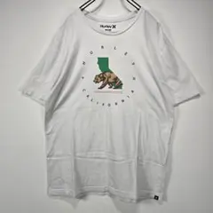 Hurley　半袖　Tシャツ　L　ビッグプリント　ロゴ　ホワイト　サーフ　古着