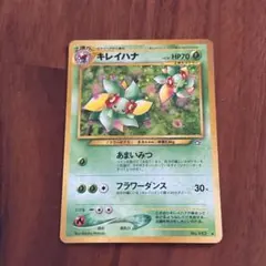 2026年最新】キレイハナ 旧の人気アイテム - メルカリ