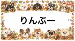専用
