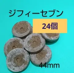 遠野 生美様 リクエスト 2点 まとめ商品